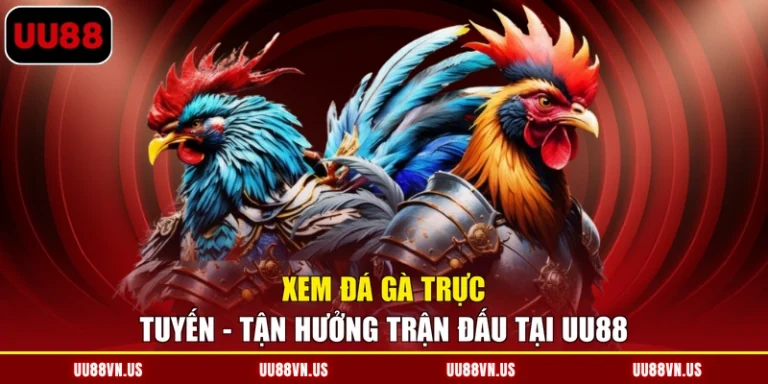 Xem Đá Gà Trực Tuyến - Tận Hưởng Trận Đấu Tại UU88